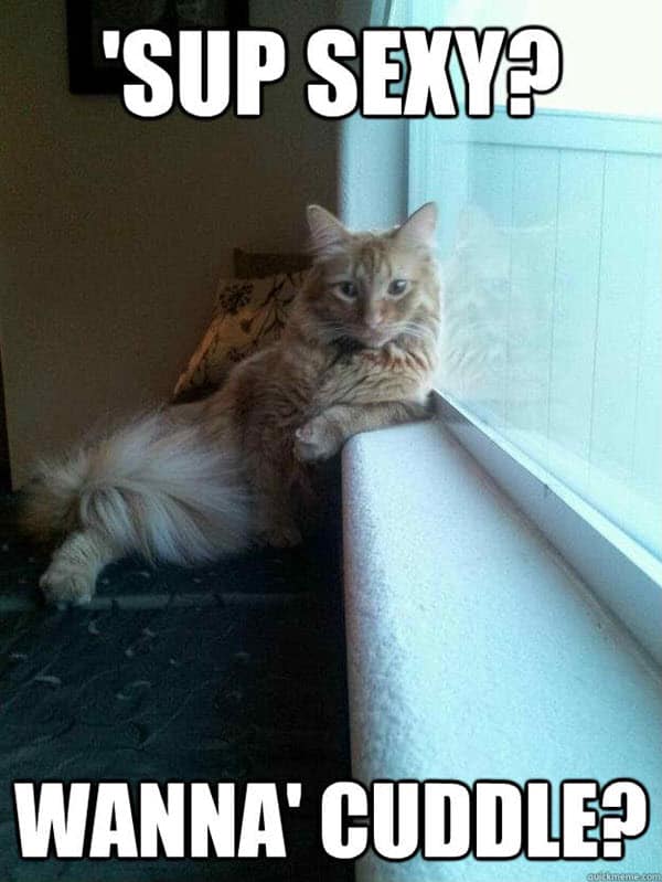 pix Cuddling Memes Funny don t get serious