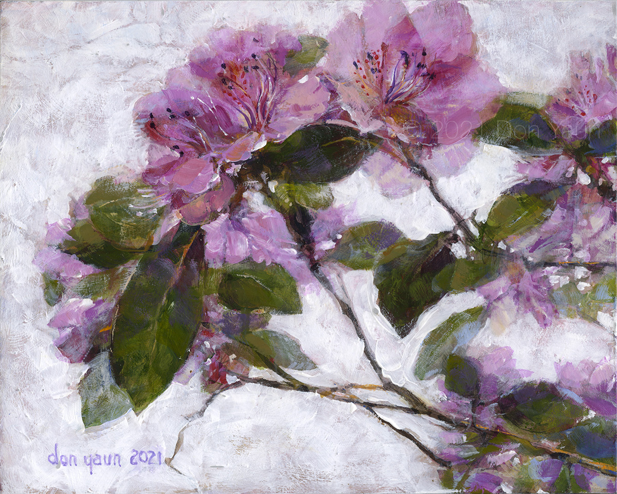 Studio acrylic painting "Pink Rhododendron" by Georgia artist Don Yaun, featuring translucent pink blossoms viewed from below against a bright sky with silhouetted dark green leaves