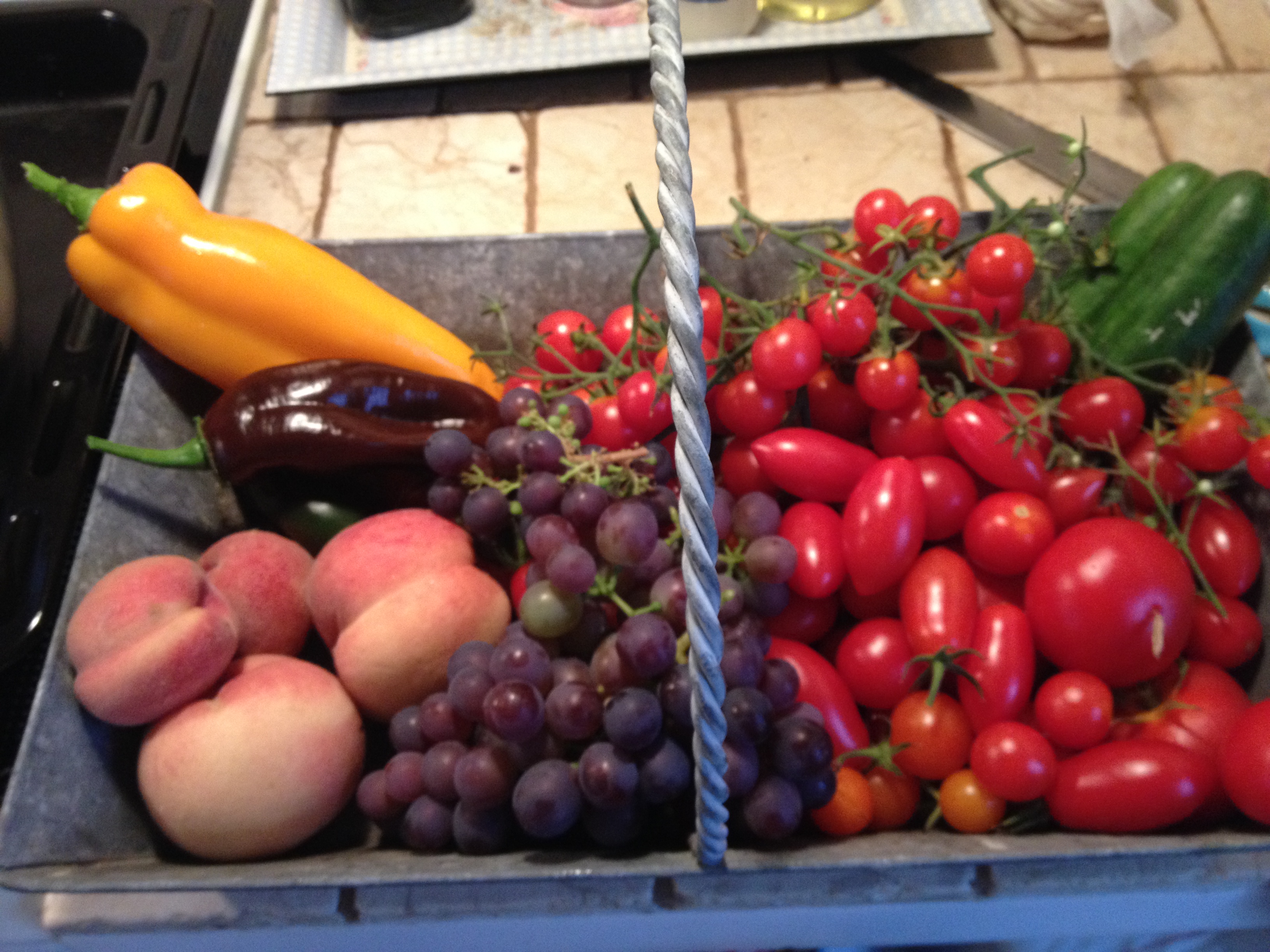 Høst fra mit drivhus