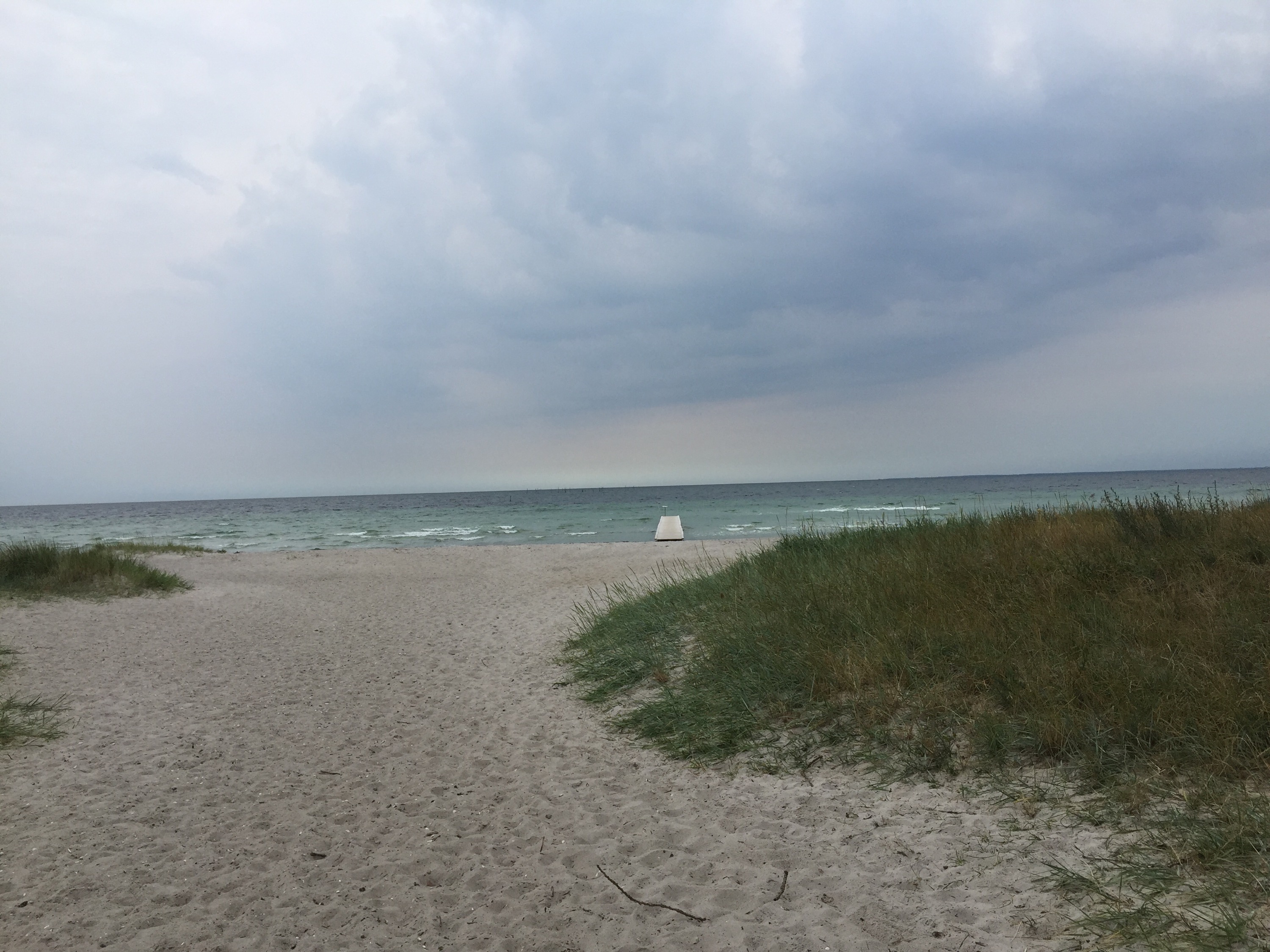 Hvor er badegæsterne?