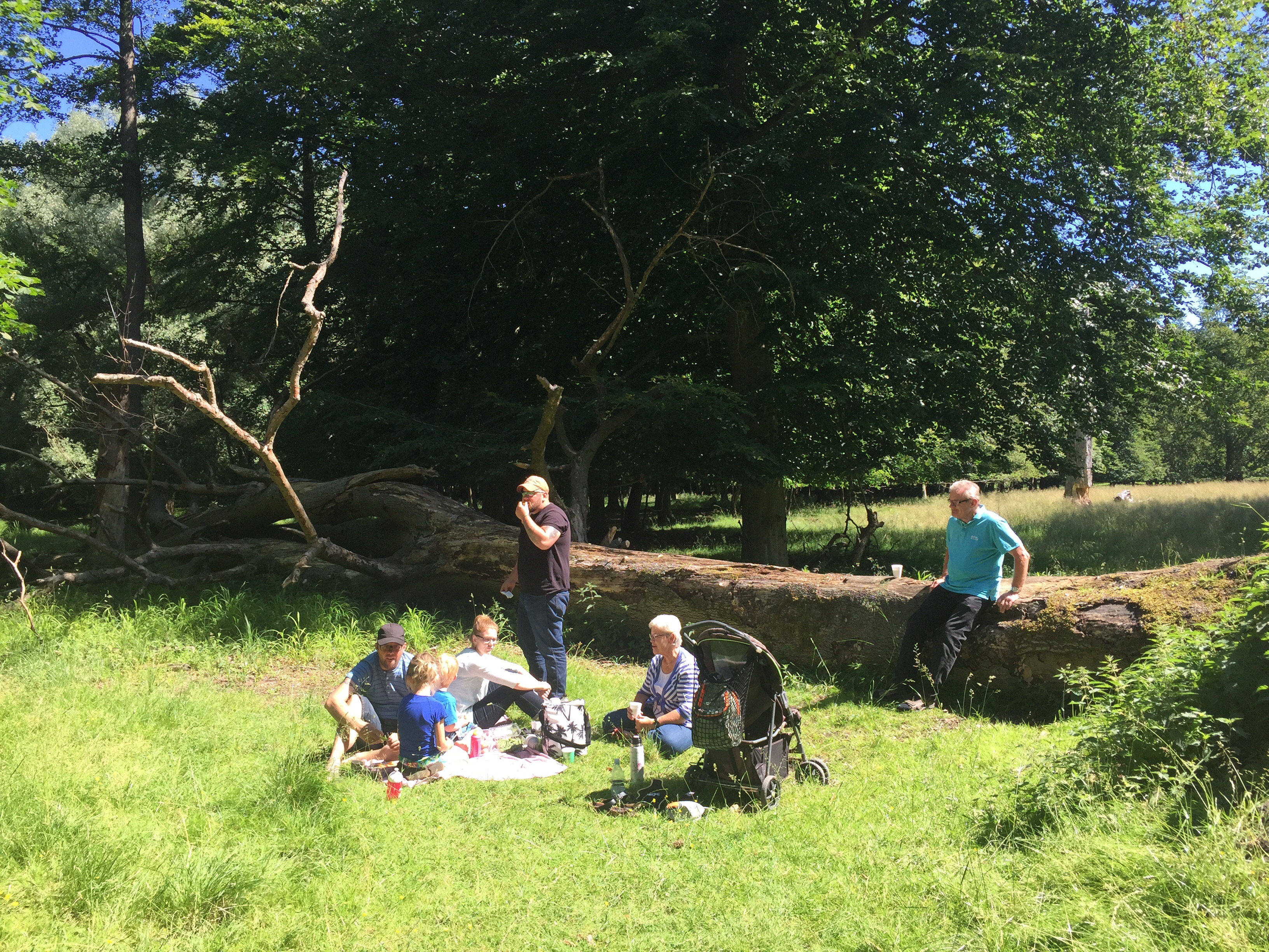 Tid til formiddagskaffe