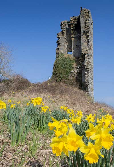 Doonbeg Heritage Trail Doonbeg - Premium City Photo Gallery - 4K