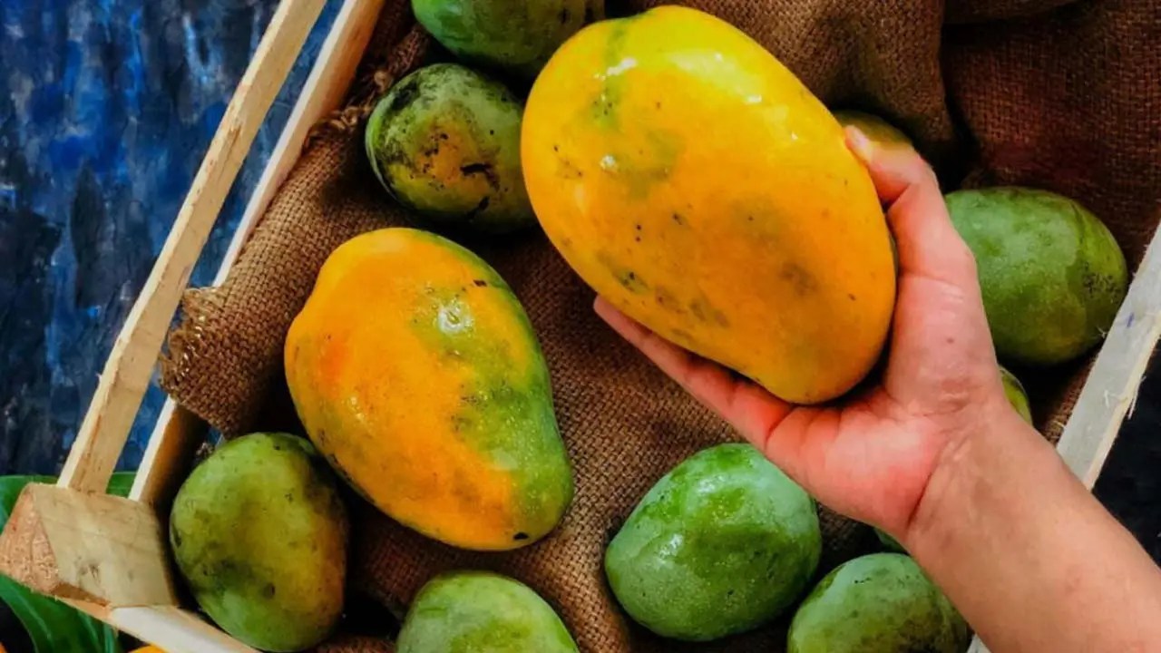 Carbide Ripened Mangoes Health Risks