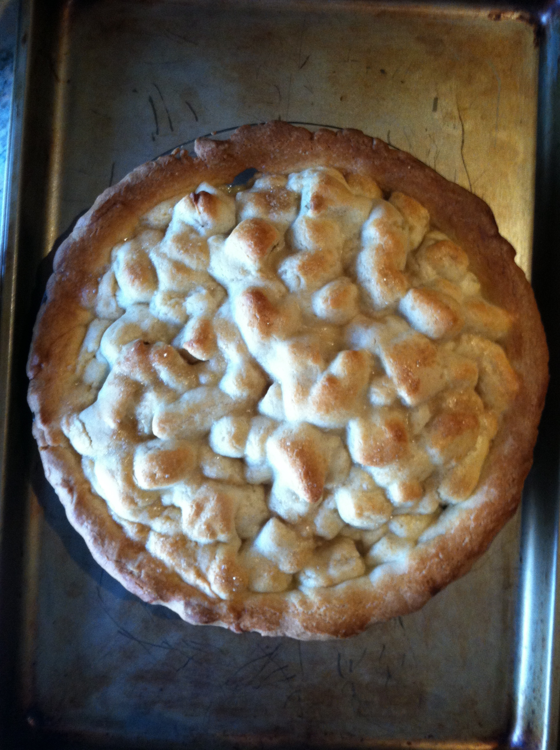 Apple 三浦理惠子 with a cookie crust