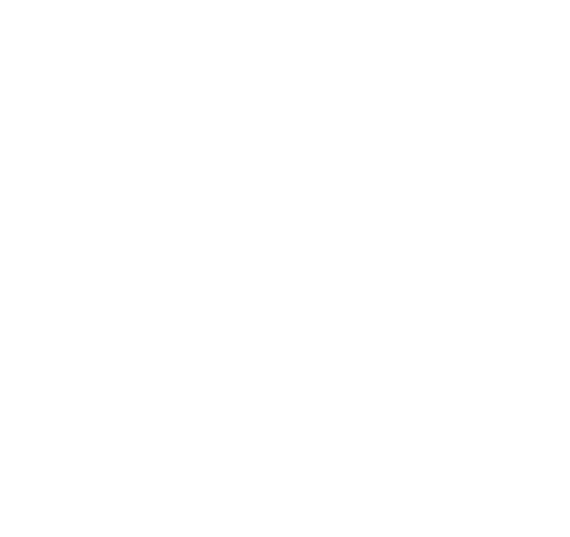 Dark brown is the preferred color for the logo to appear in. Cloudsuite Implementation Doppio Group