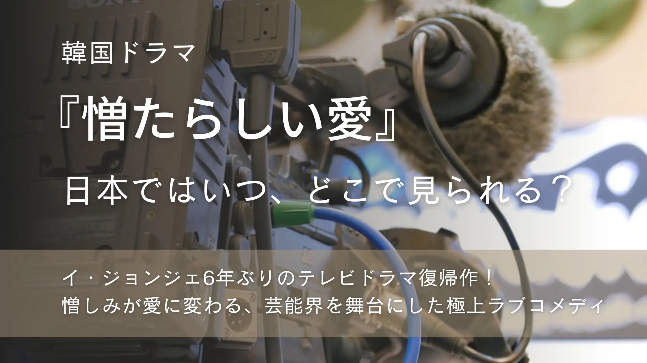 韓国ドラマ「憎たらしい愛」配信記事アイキャッチ。