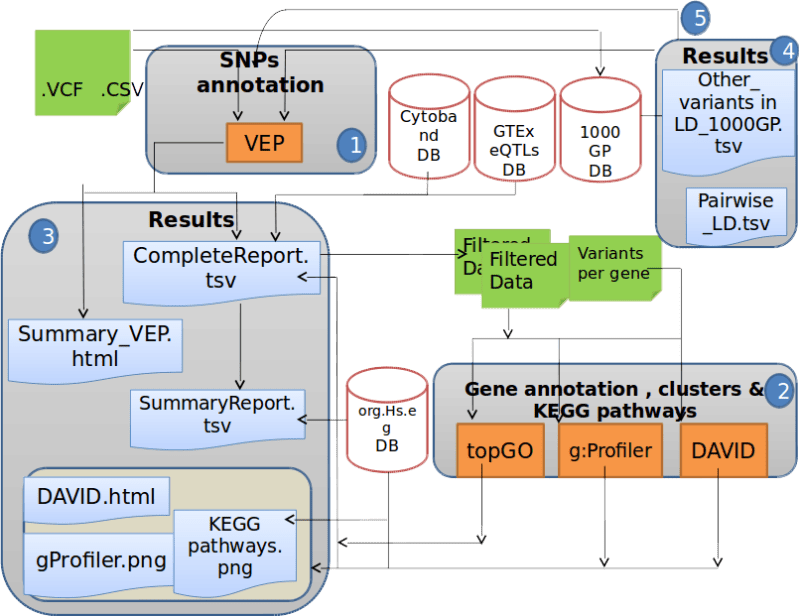 Doritool Website - Gorgeous Dark Wallpaper - Ultra HD