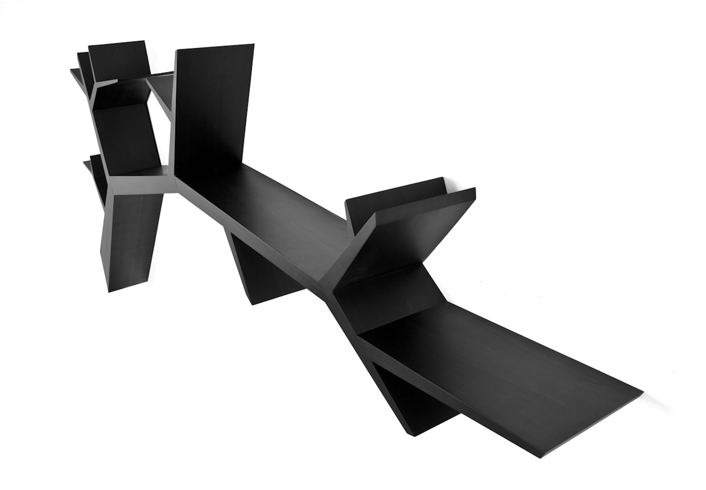 How much expeditions costs and final price? Modern Bookshelf Shaped Like a Tree Branch | Designs