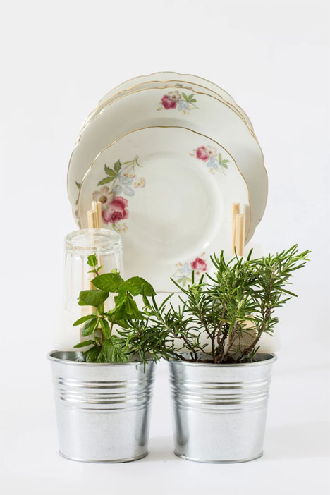 20+ Dish Rack That Grows Plants Trends