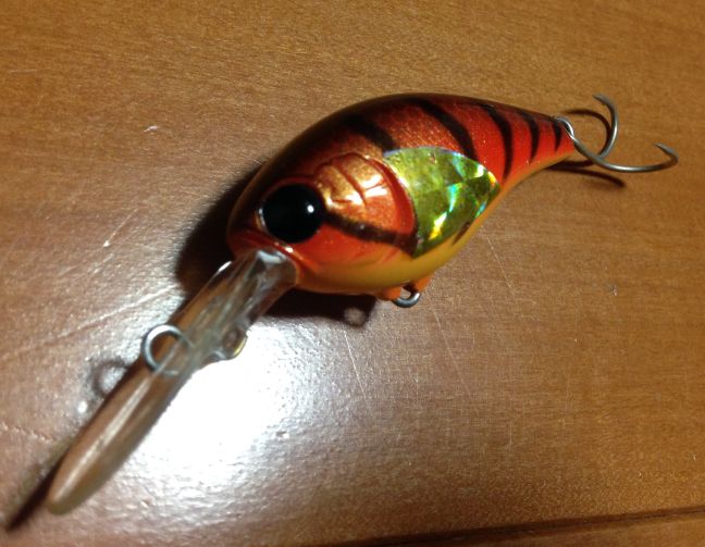 根掛かりを回避するルアー選択がポイント選びの幅を広げる