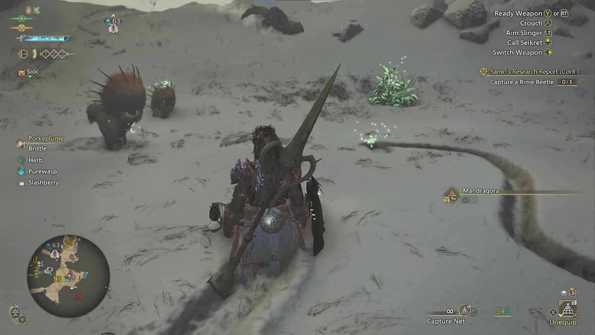 How To Capture A Rime Beetle In Monster Hunter Wilds Catching A Rime Beetle In Monster Hunter Wilds 