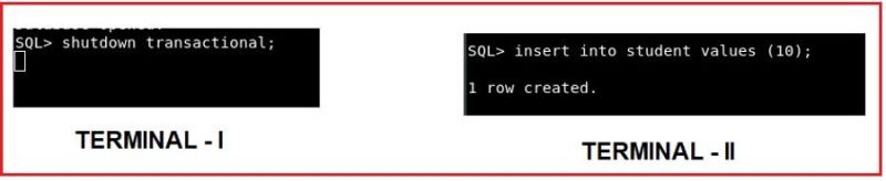 Tip 461 Optimize Database Inconsistent When The System Shutdown - Best Colorful Textures in High Resolution