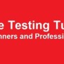 Software Testing Tutorial For Beginners - Dot Net Tutorials