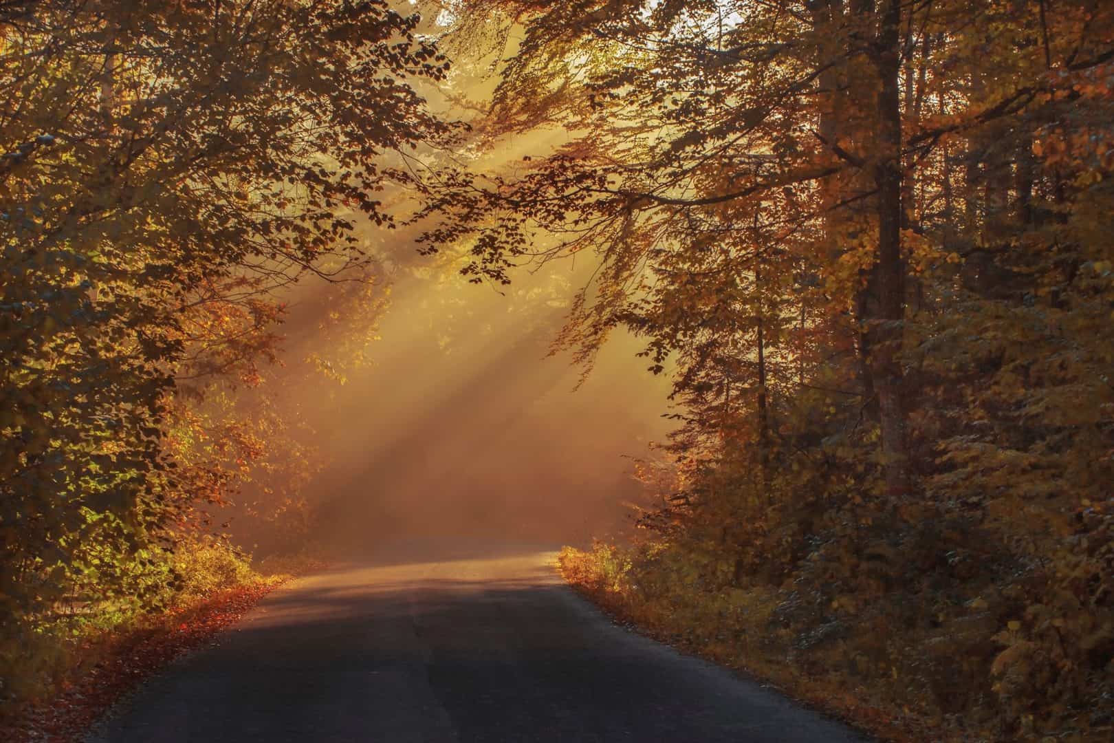 How to Experience fall colors on Talimena National Scenic Byway