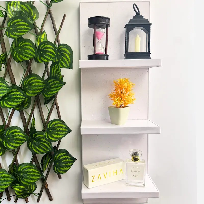 Aesthetic Display Wall Mounted Shelf (WS0165)