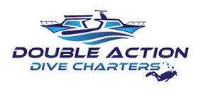 Daniel J Morrell Double Action Dive Charters - Professional Ultra HD City Illustrations | Free Download