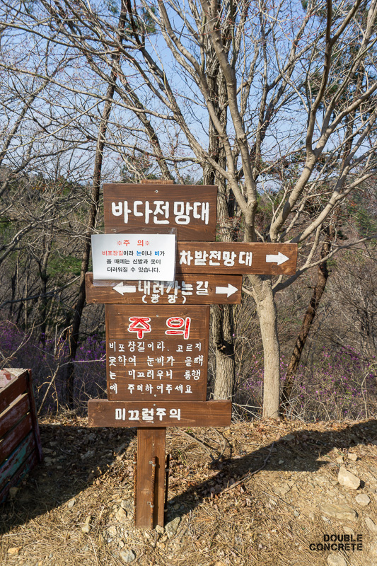 보성 녹차밭 전망대로 가는 길을 안내하는 나무 표지판