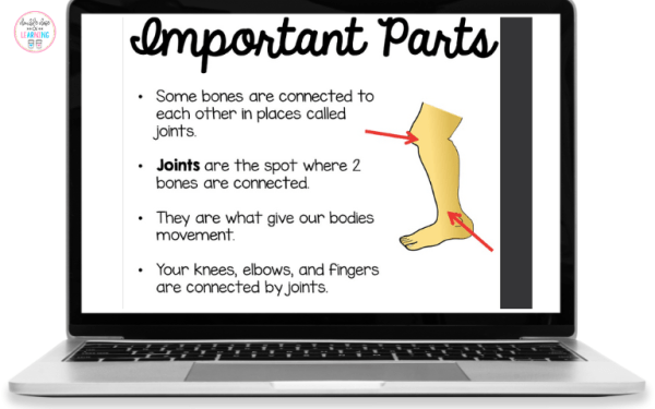 Powerpoint slide showing vocabulary about the skeletal body system.