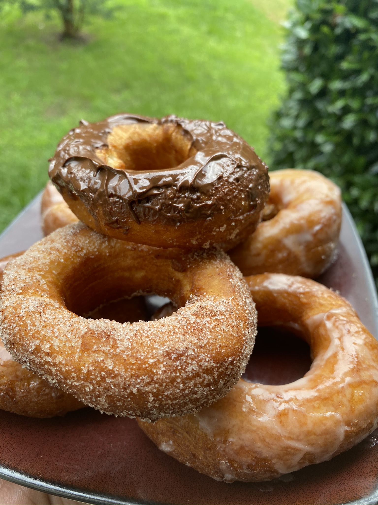 Doughnut