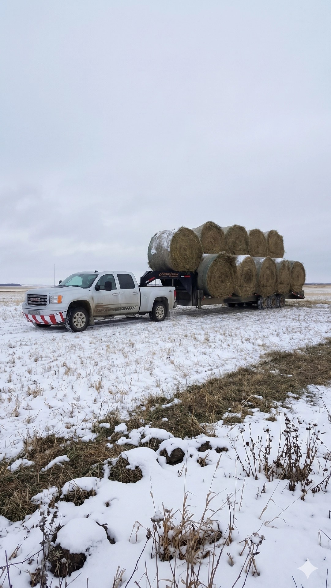 Vertical portrait view of a silver GMC Sierra and a gooseneck trailer with nine round hay bales, parked in a snowy prairie field, emphasizing the expansive sky.