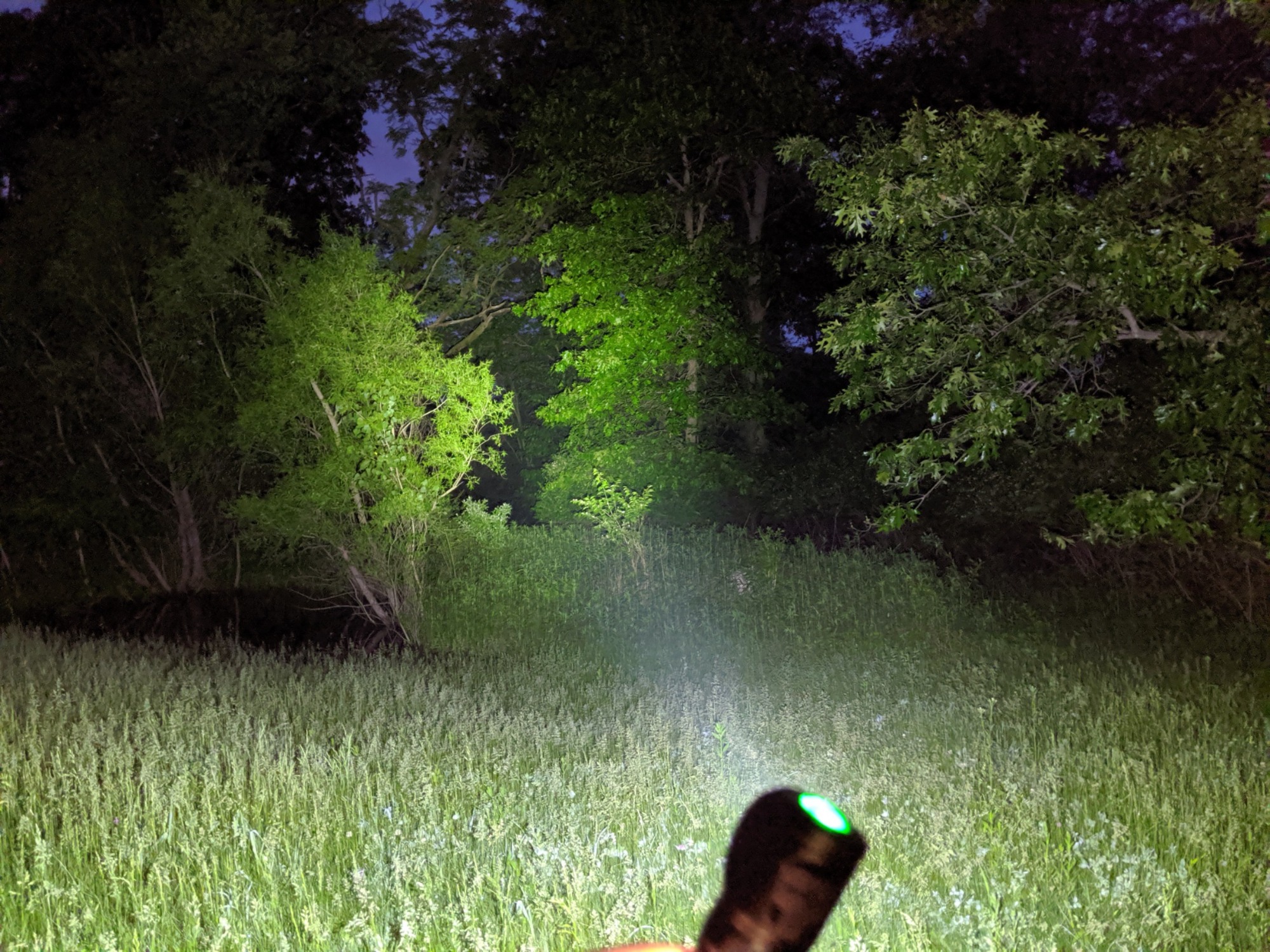 1200 Lumen Headlamp Kit (Rechargeable) – Eastern Woods Outdoors