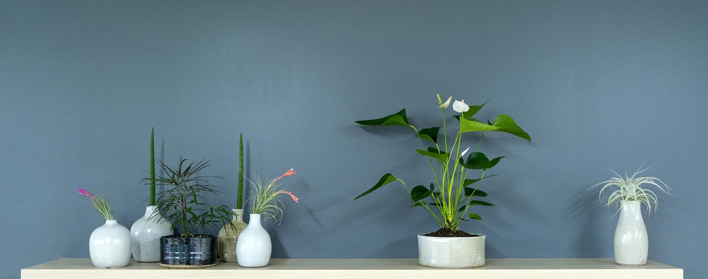square vases