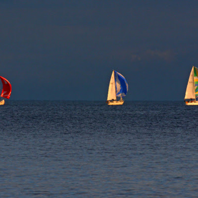 Sailboats (c) 2008, Ashley Hockenberry
