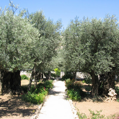 Gethsemane