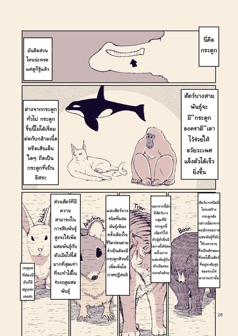 อ่านโดจิน บันทึกข้ามสายพันธุ์ของสาวเอลฟ์ 8 แปลไทย หน้า 28 แนว metamor