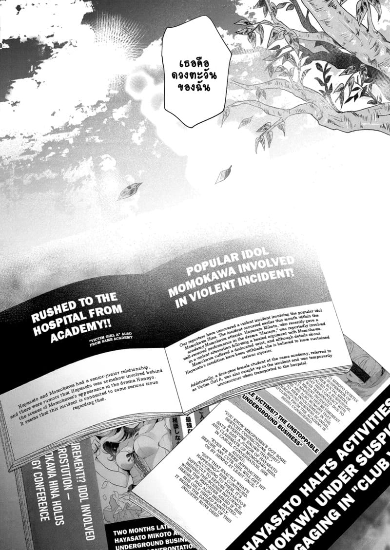 สวนดอกไม้ 7 - ดอกตะวัน 4 9