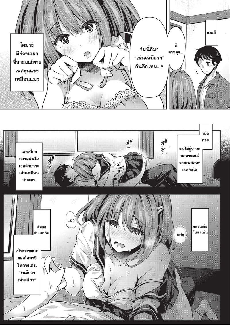 เล่นเหมียวเหมียว 2