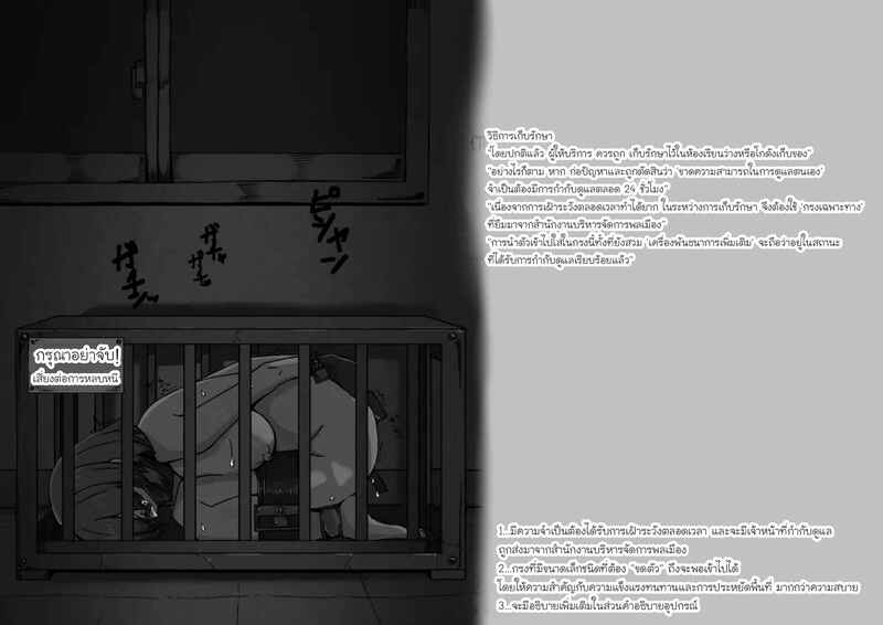 ยูเมโนะ อาโออิ: เมื่อกฎหมายเปลี่ยนฉันให้เป็น 