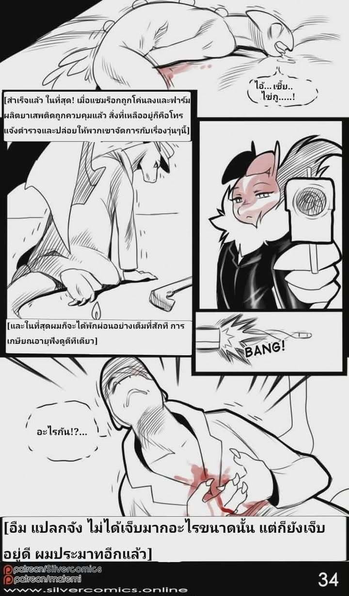 โปเกนัว เงาดำใต้แสงจันทร์ 1.3 จบ 14