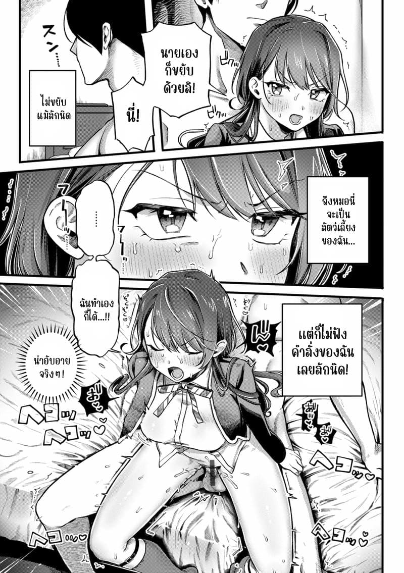 เจ้าชายสาย M 5