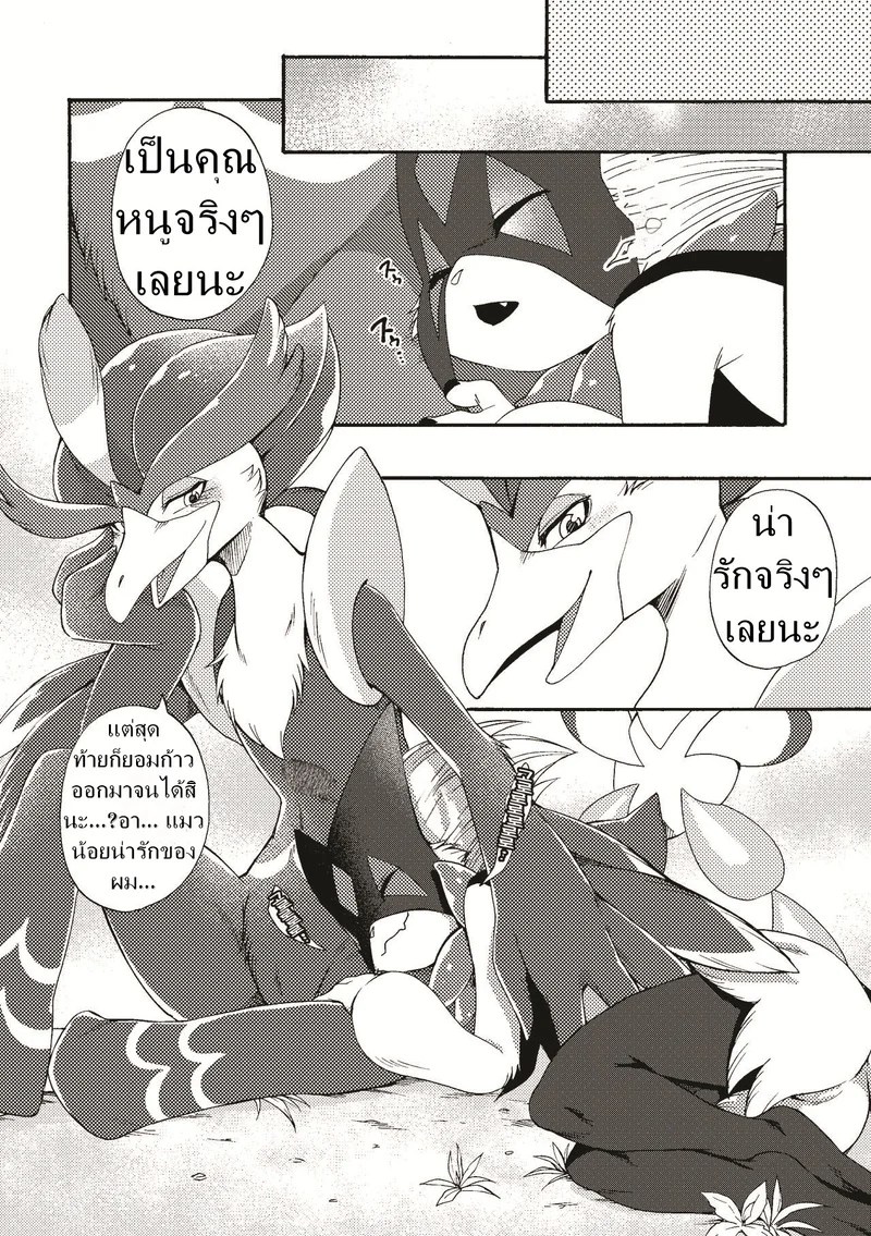 เธอนก เค้าแมว 24