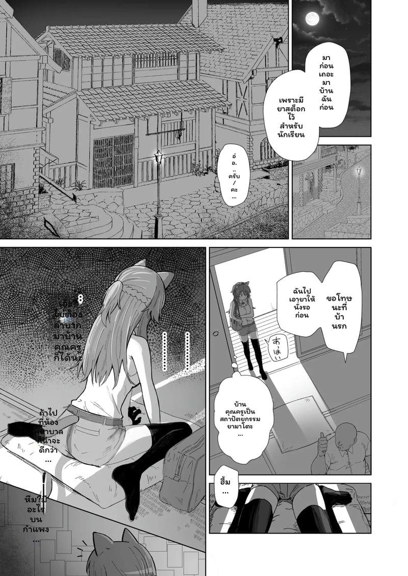 สาวแมวสุดเงี่ยน 13