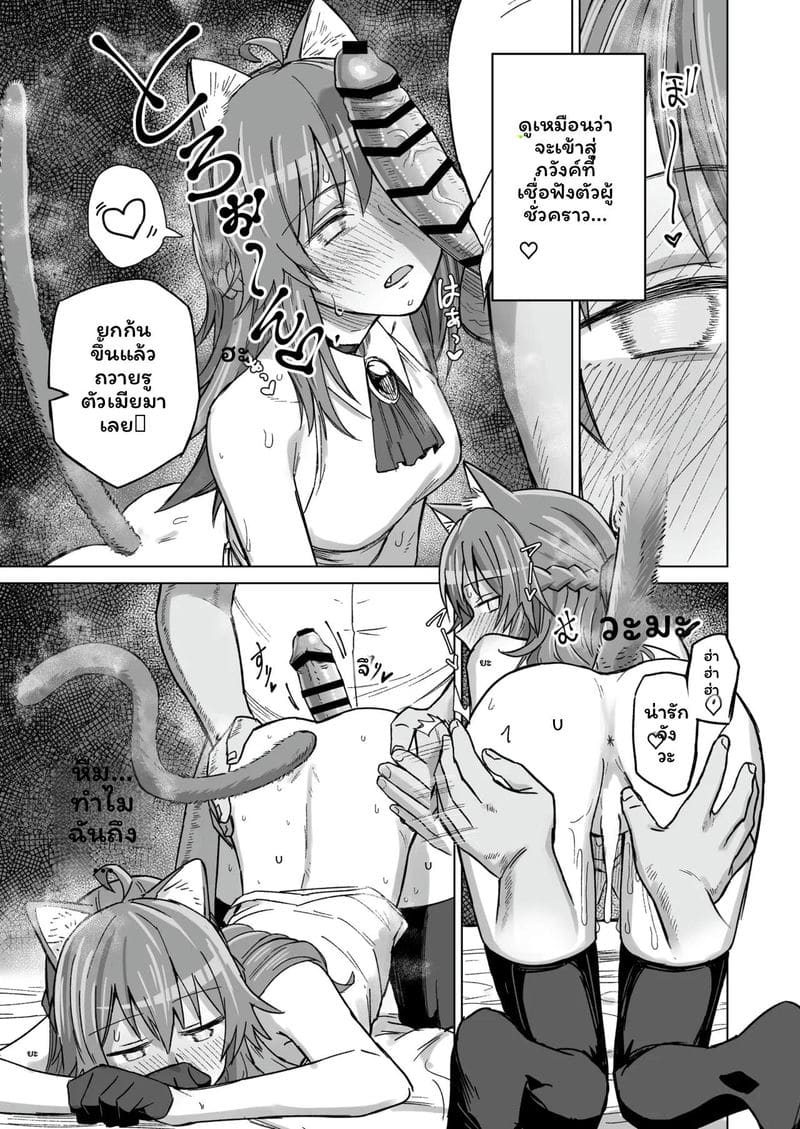 สาวแมวสุดเงี่ยน 29