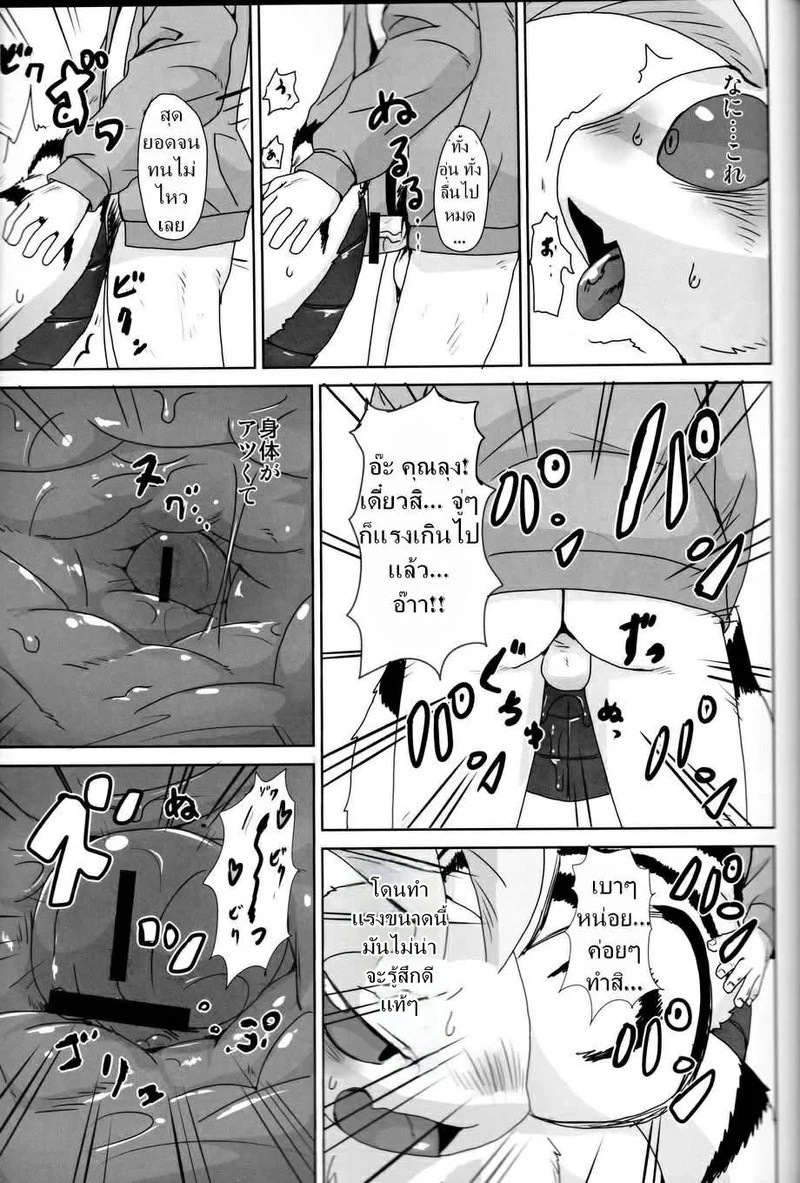 เรื่องของแมลง 20