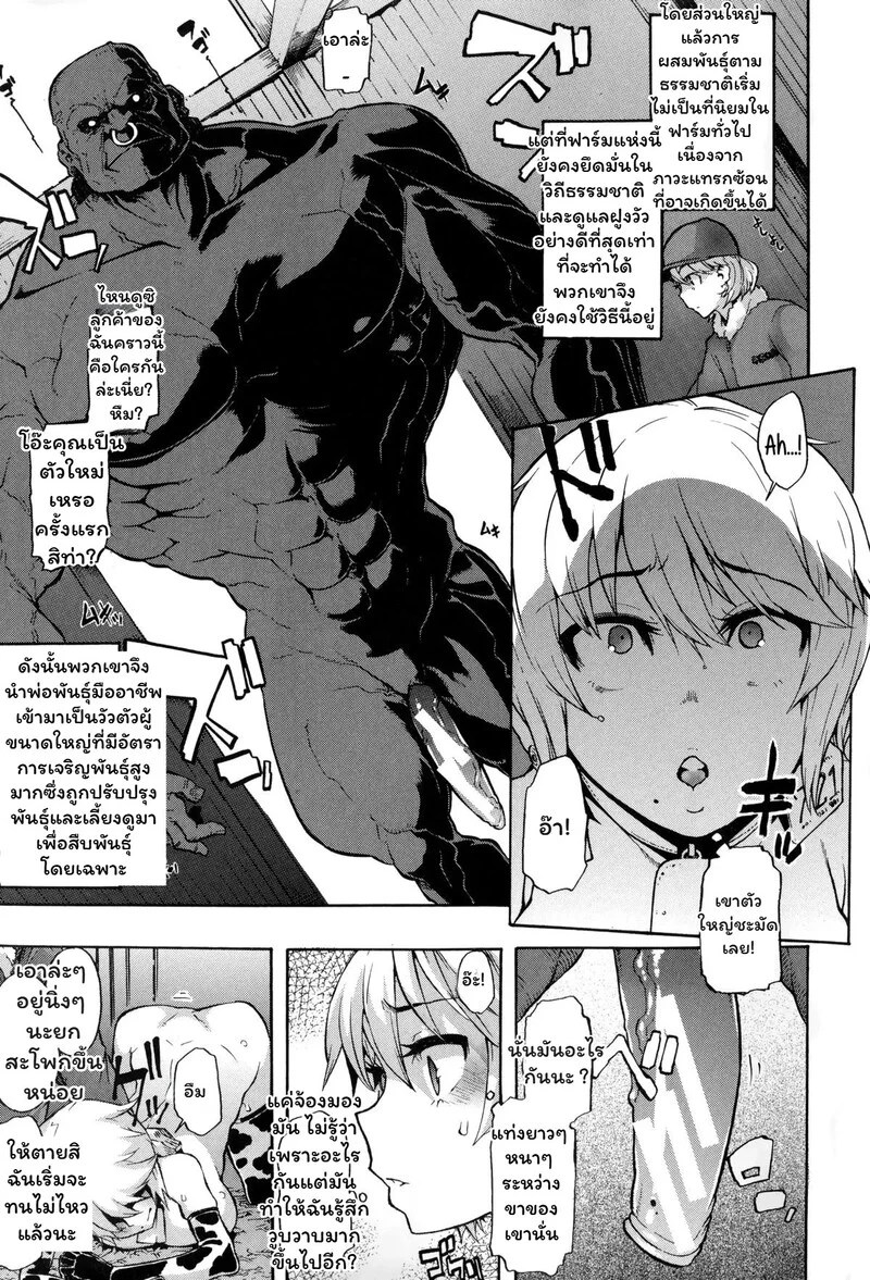 สายสัมพันธ์แห่งทุ่งหญ้า 4