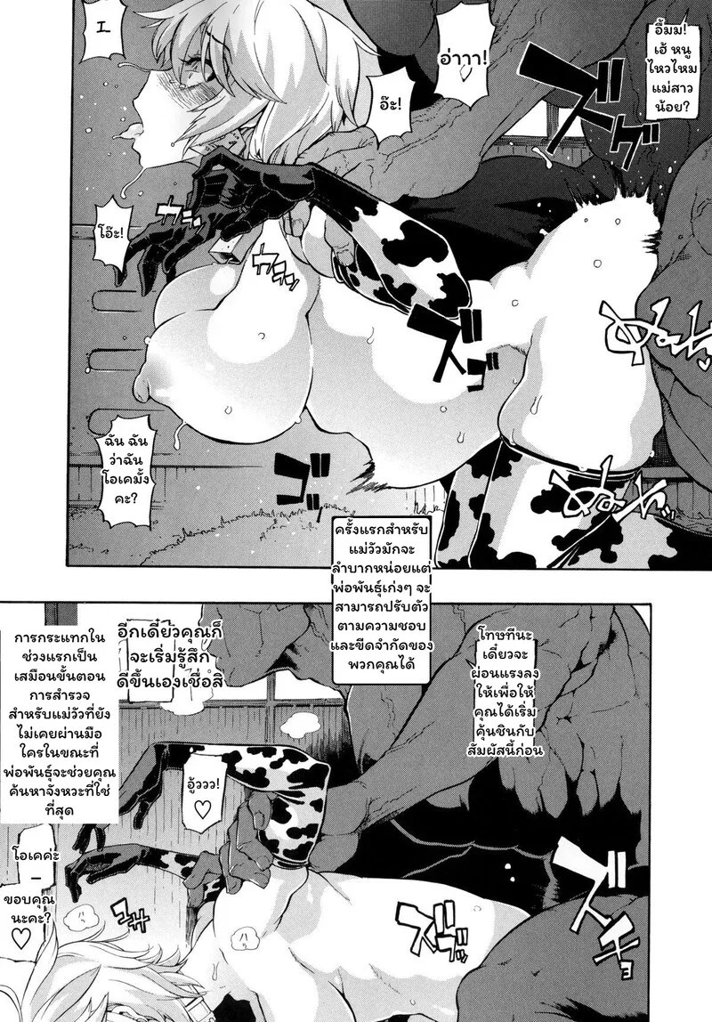 สายสัมพันธ์แห่งทุ่งหญ้า 7