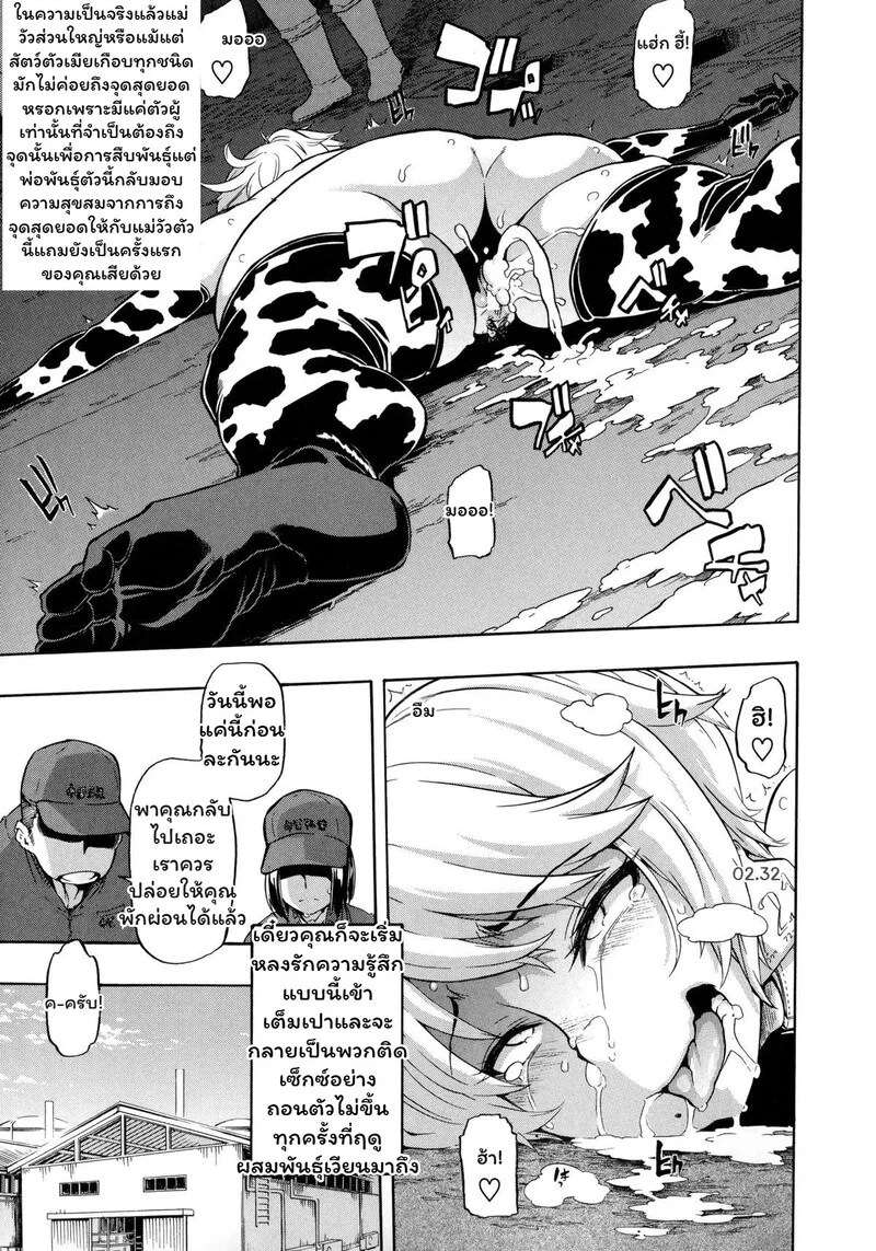 สายสัมพันธ์แห่งทุ่งหญ้า 14