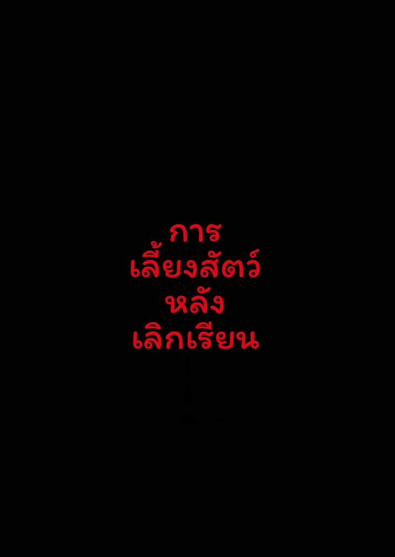 เลี้ยงหลังเลิกเรียน 2