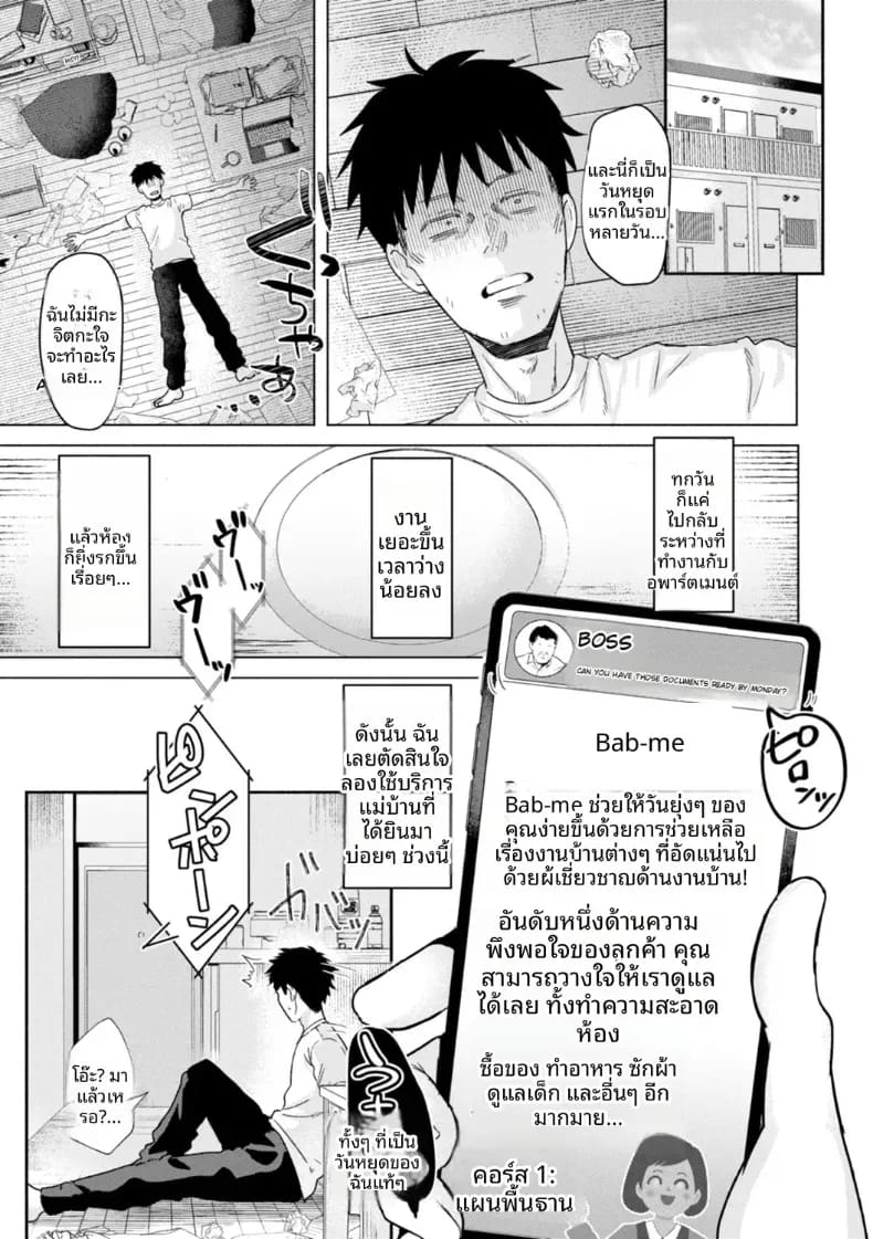 เกลผู้เชี่ยวชาญงานบ้าน 0