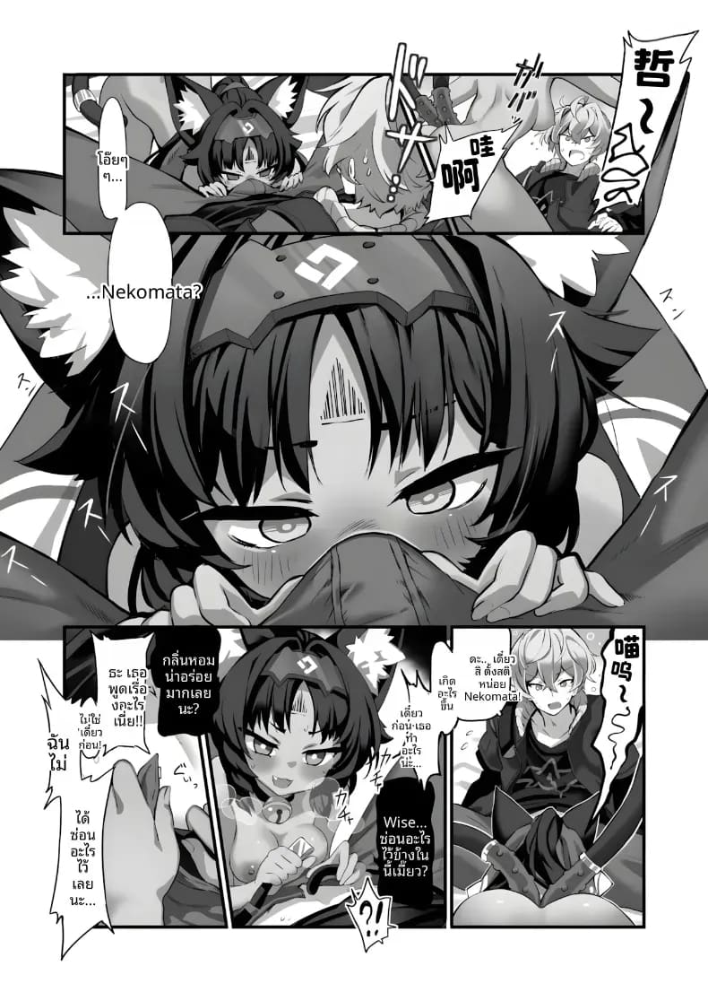 เเมวที่เสพเเคทนิป 4
