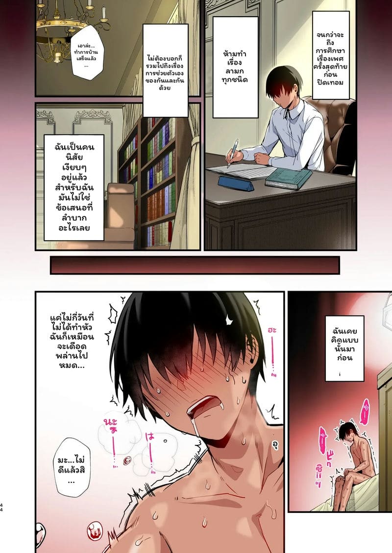 เมด... รัก 43