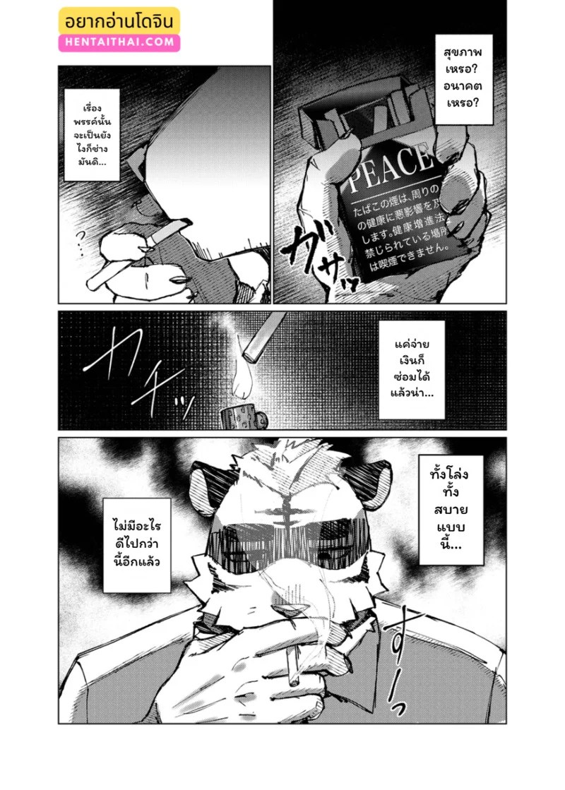 อ่านโดจิน จุดชนวนรัก แปลไทย หน้า 3 แนว habemaru
