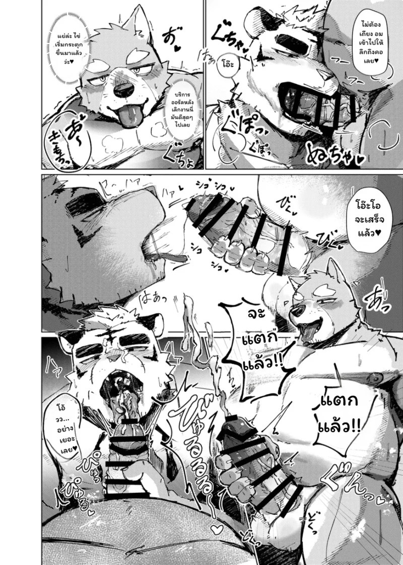 อ่านโดจิน จุดชนวนรัก แปลไทย หน้า 16 แนว habemaru