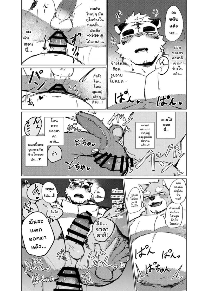 อ่านโดจิน จุดชนวนรัก แปลไทย หน้า 22 แนว habemaru