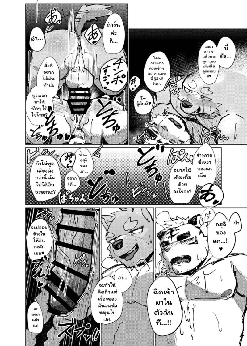 อ่านโดจิน จุดชนวนรัก แปลไทย หน้า 26 แนว habemaru