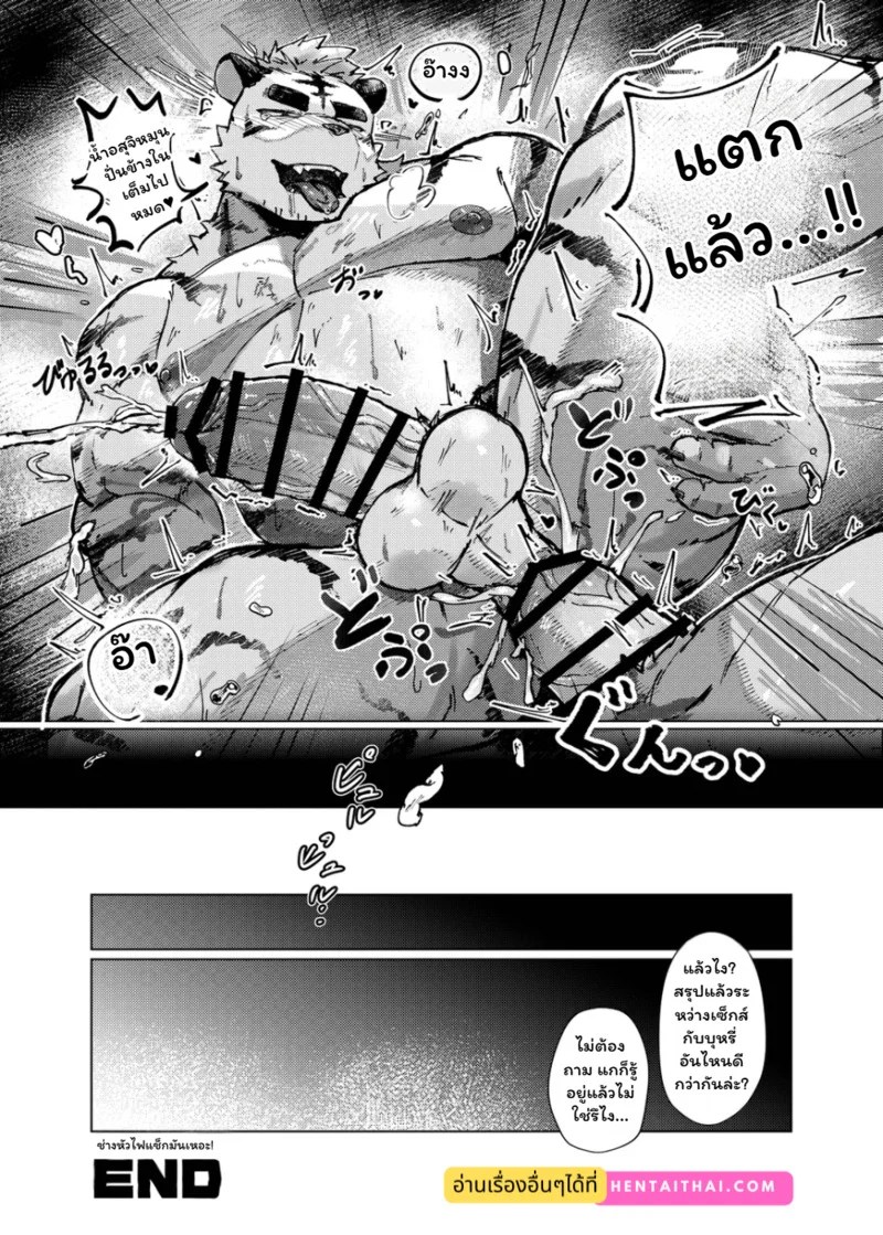 อ่านโดจิน จุดชนวนรัก แปลไทย หน้า 27 แนว habemaru